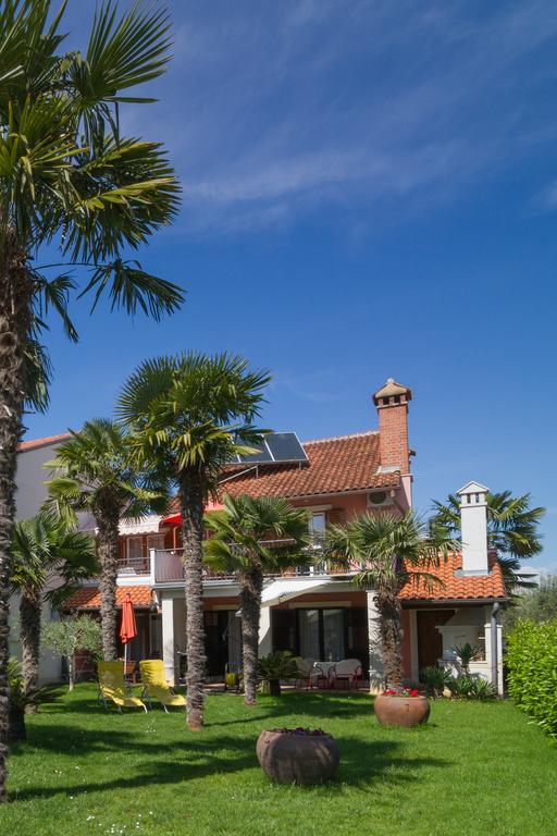 Palm View Apartment